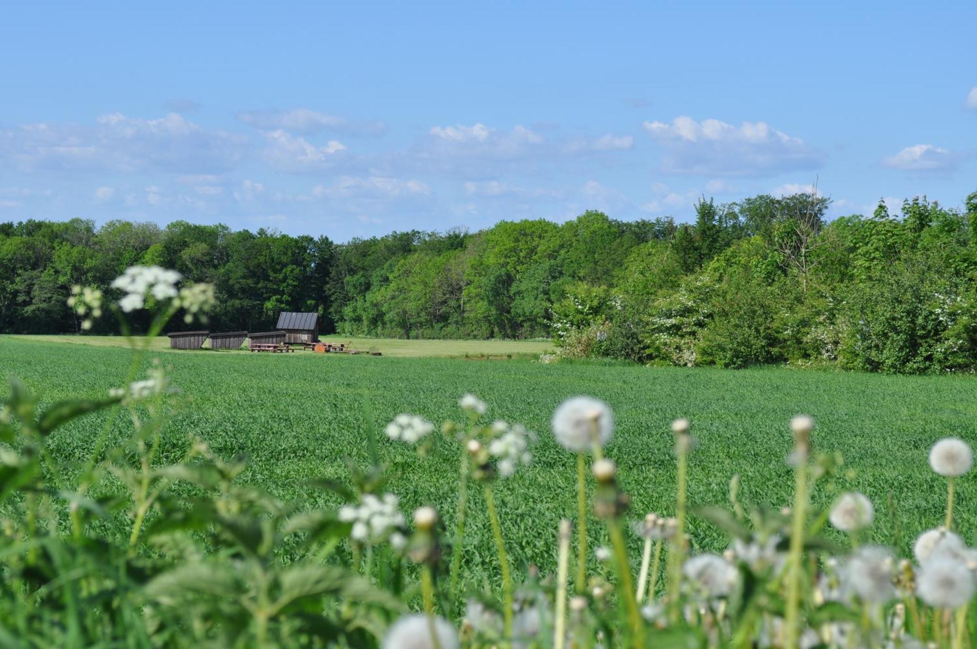 Koebenhovedskov Bed & Breakfast Rødding Eksteriør bilde
