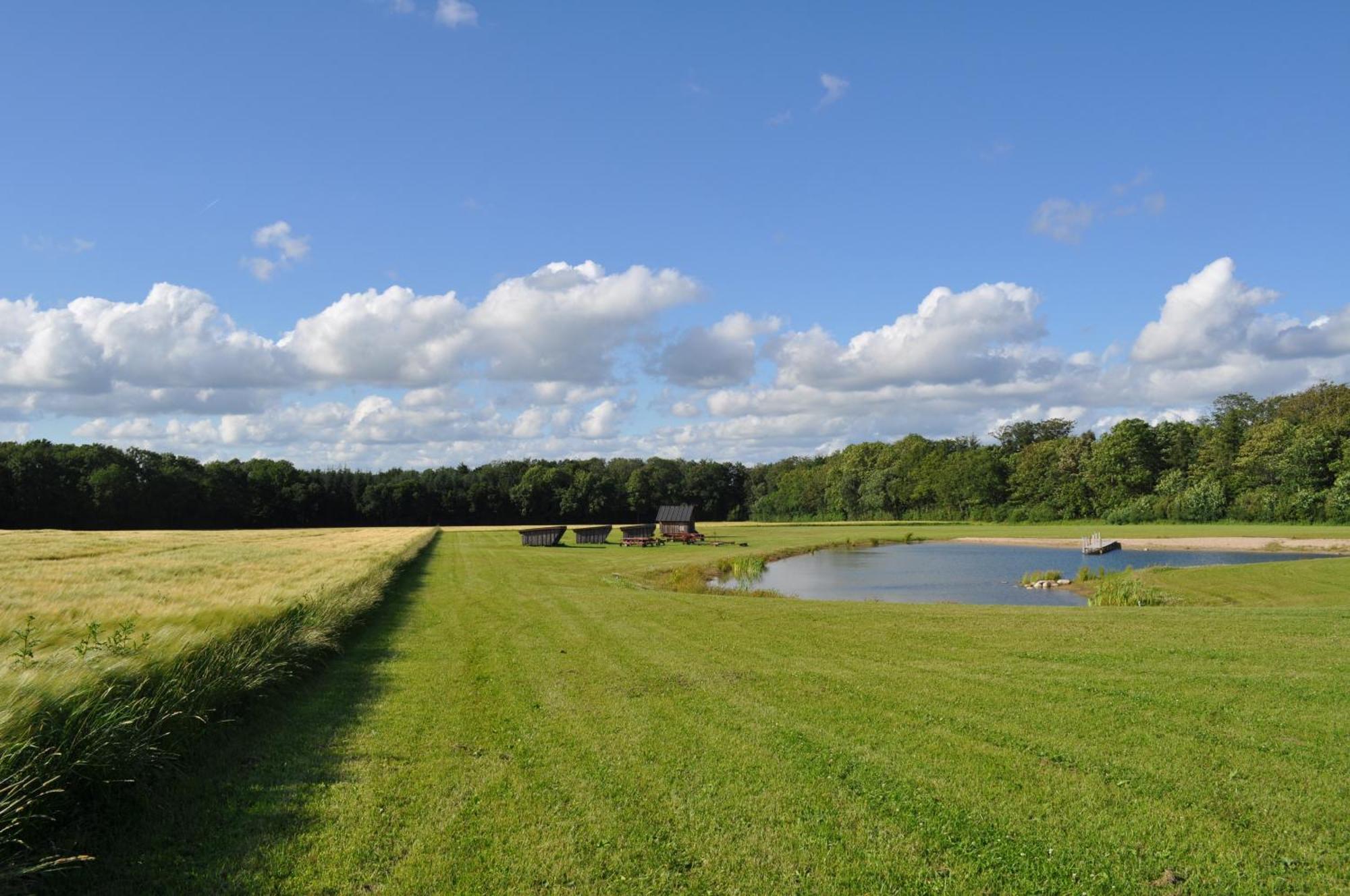 Koebenhovedskov Bed & Breakfast Rødding Eksteriør bilde