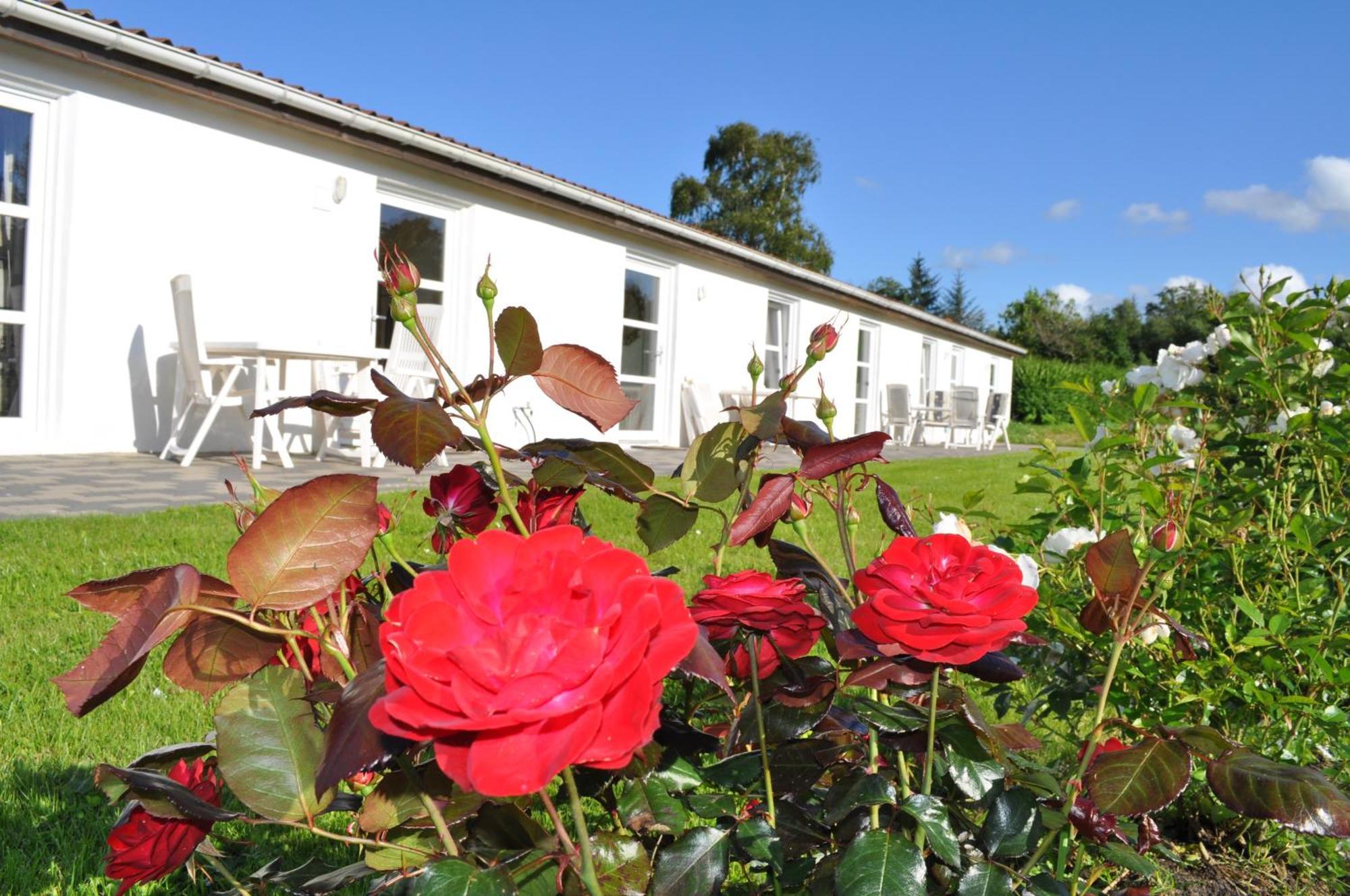 Koebenhovedskov Bed & Breakfast Rødding Eksteriør bilde